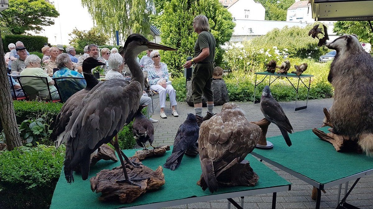 Ein Mann präsentiert einem sitzenden Publikum im Freien Vögel. 