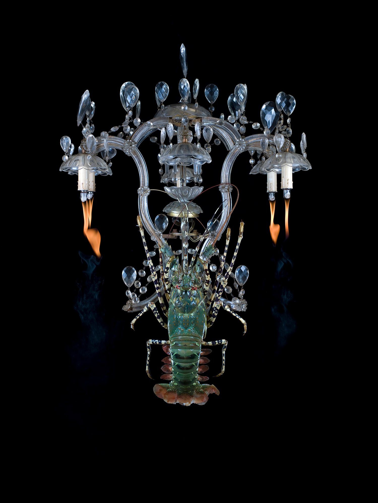 joeart space kreeft vlam flame kroonluchter lamp smoke rook colorfull kleurrijk stilleven  fotografie kunst photography art