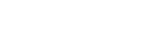 willow lake metis group logo