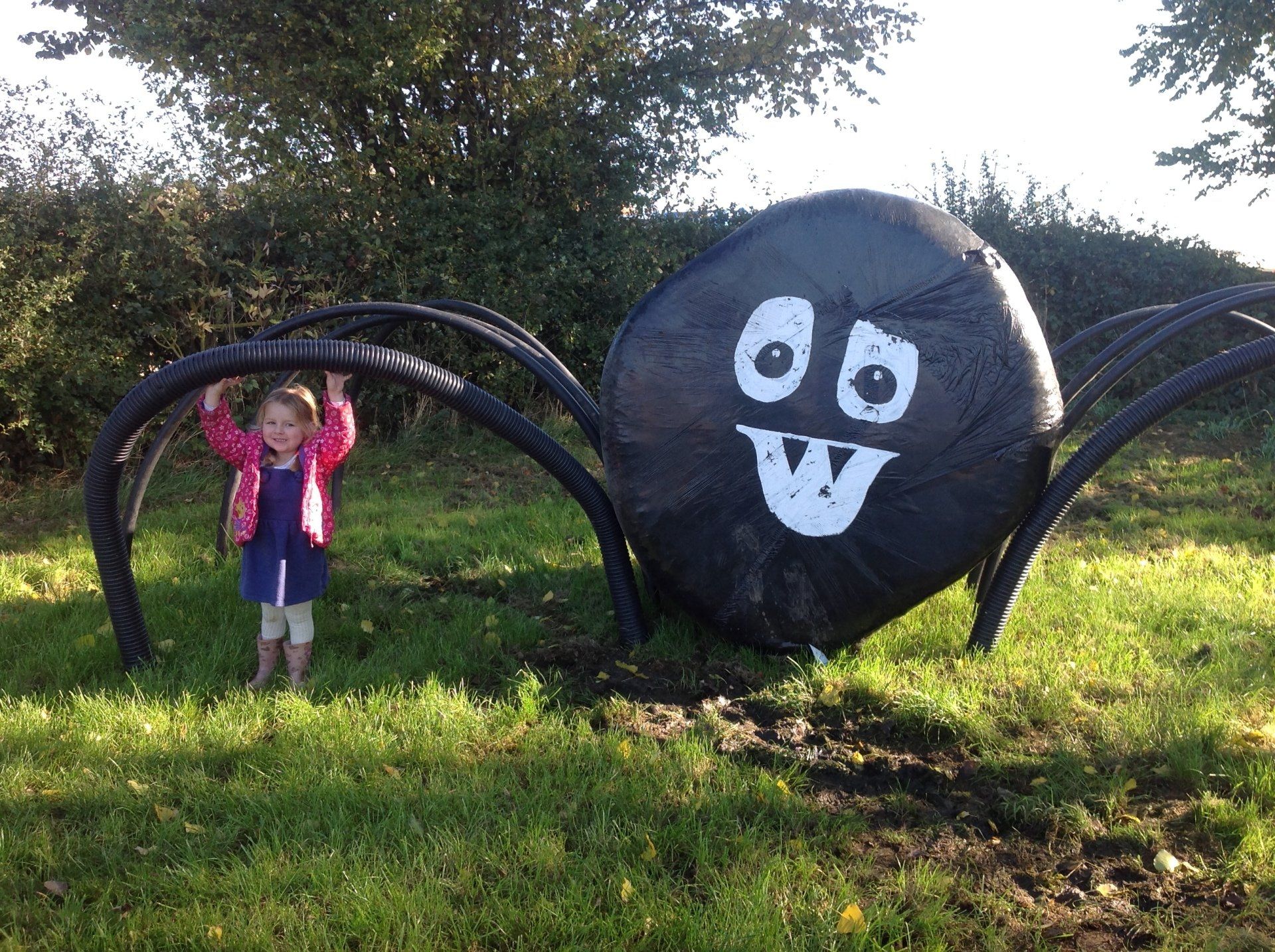 Child standing inside a black spider display in a grassy park, with a painted face and legs all around.