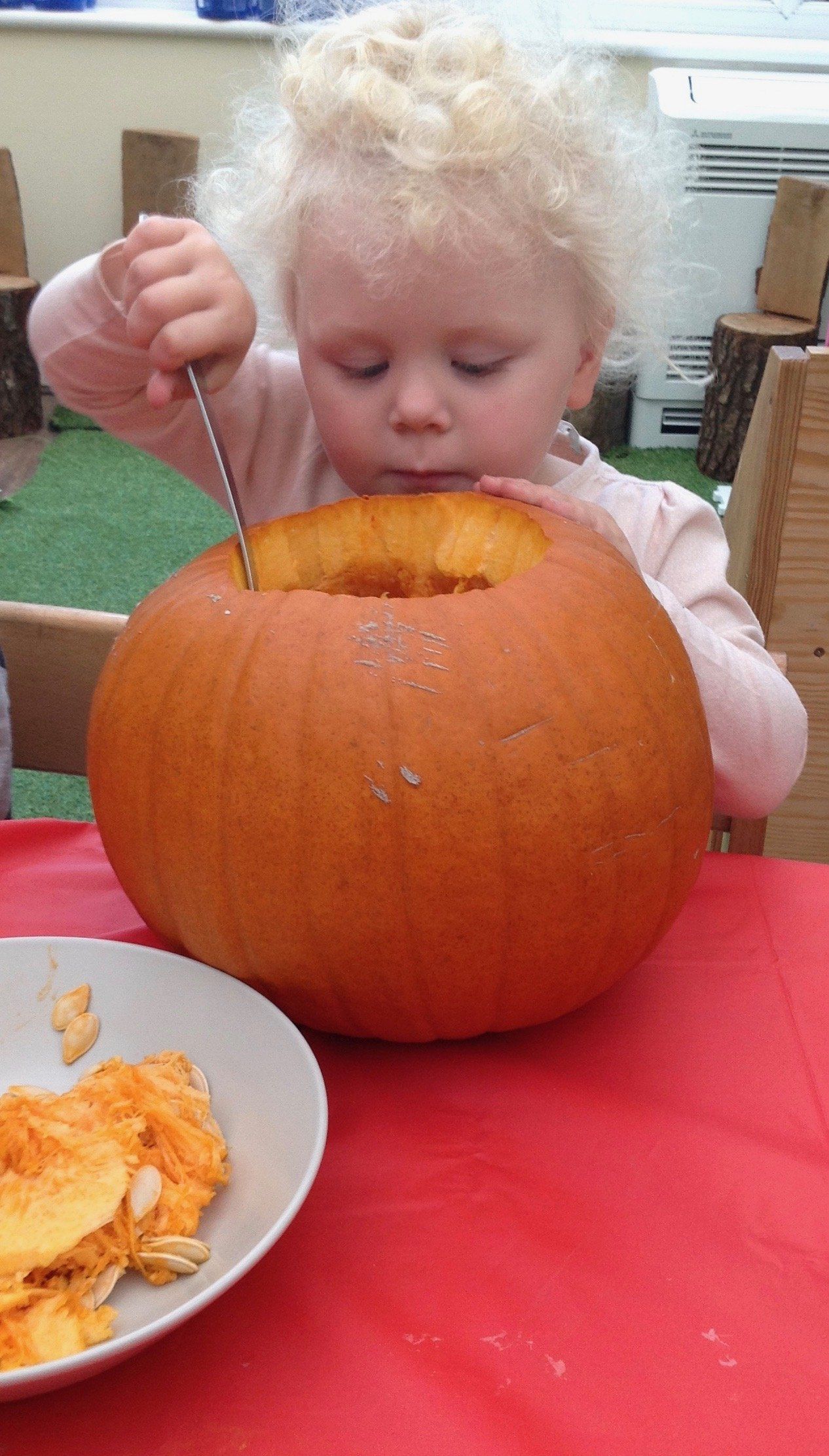 Toddler scooping seeds from a carved pumpkin at a red table with a plate of pumpkin pieces nearby