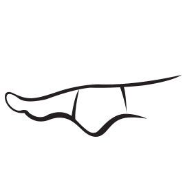 Foot and Ankle hyperextended
