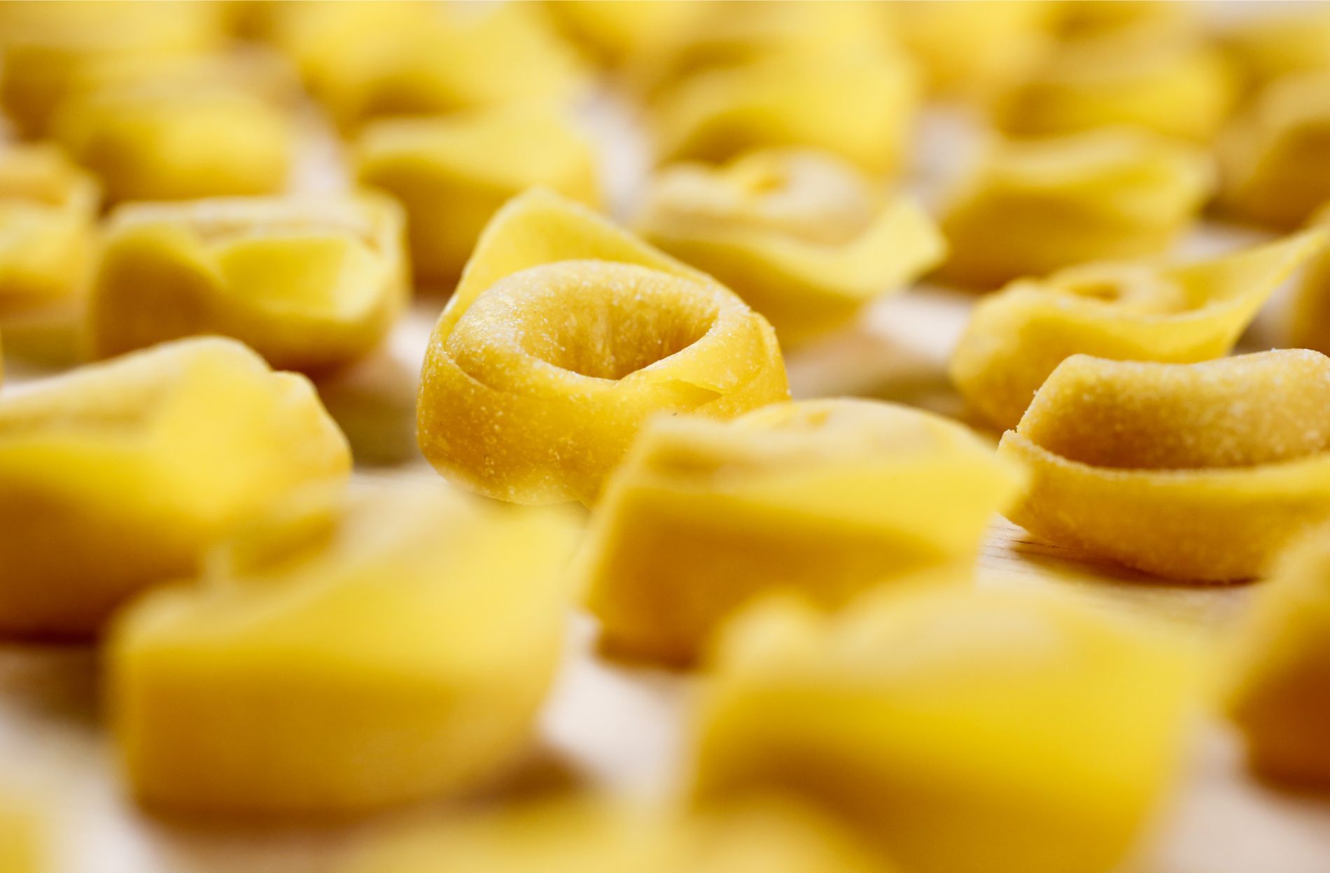 Pasta all'uovo