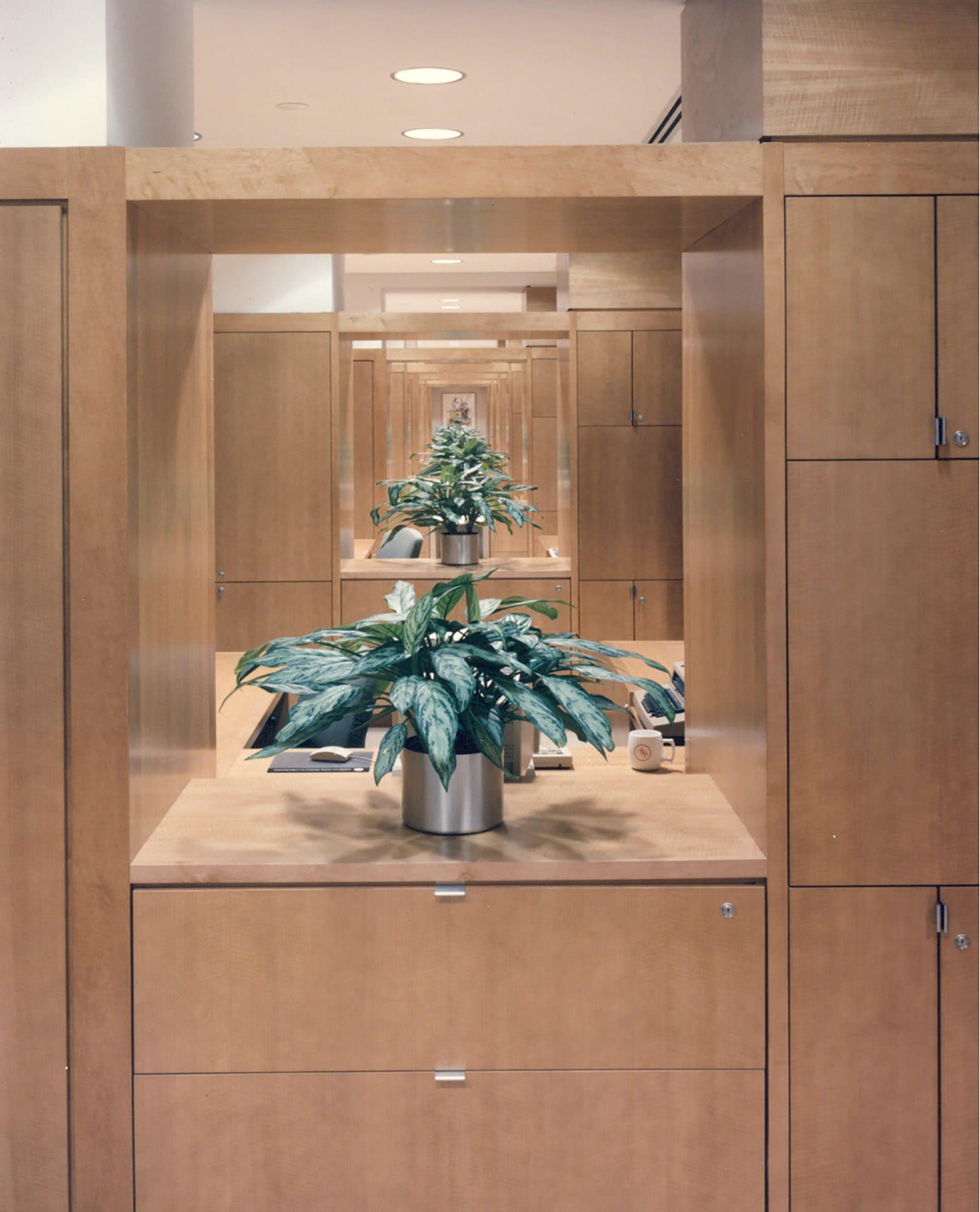 a wooden cabinet with a plant on top of it