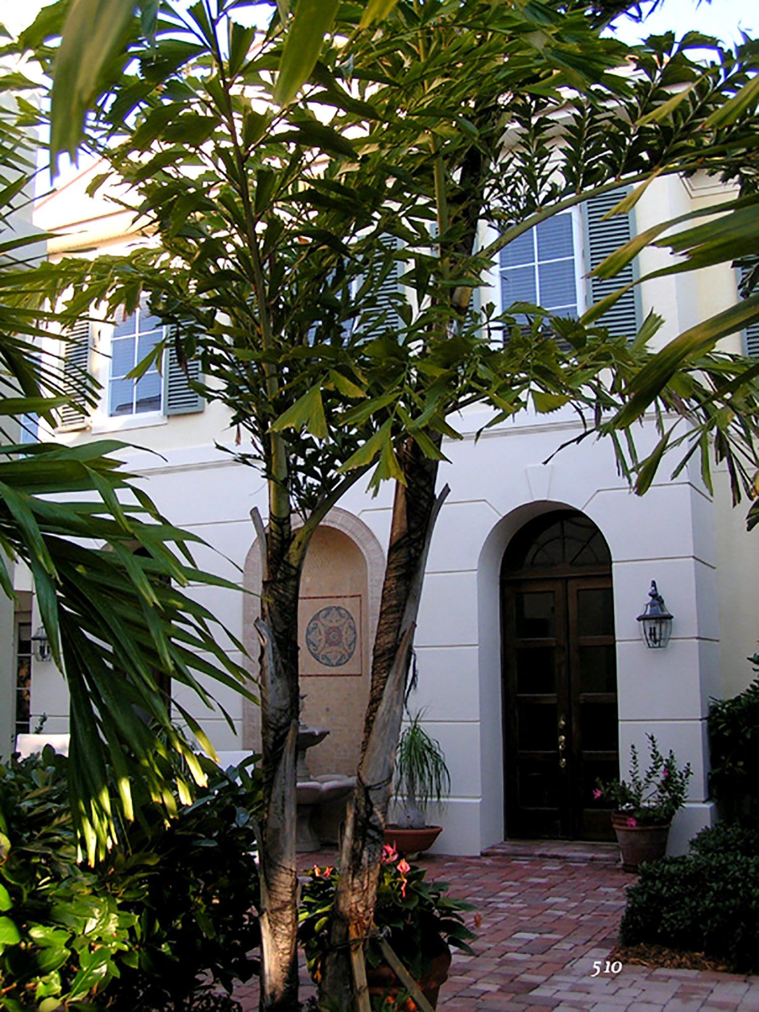 a white house with a tree in front of it