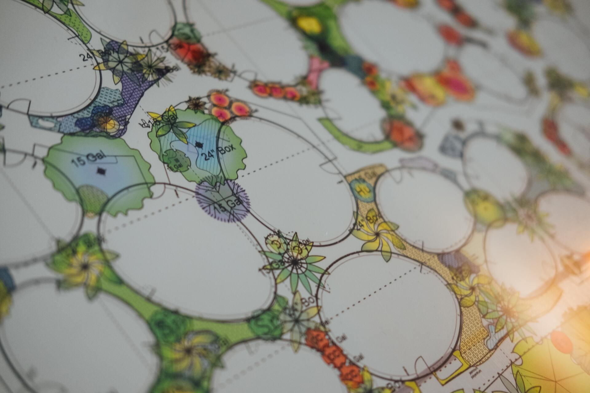 a close up of a drawing of a garden on a table .