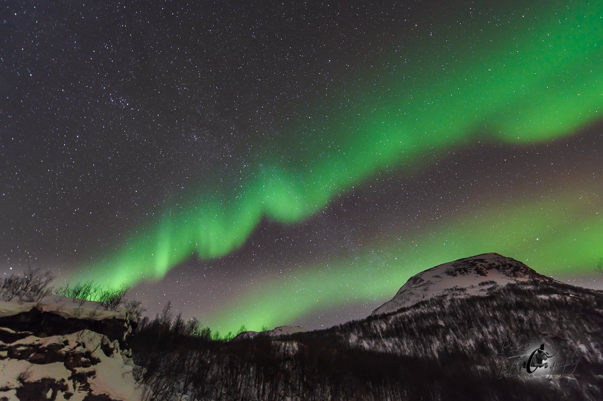 Nordlichter