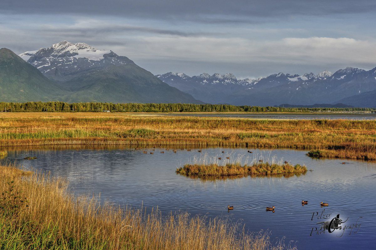 Valdez