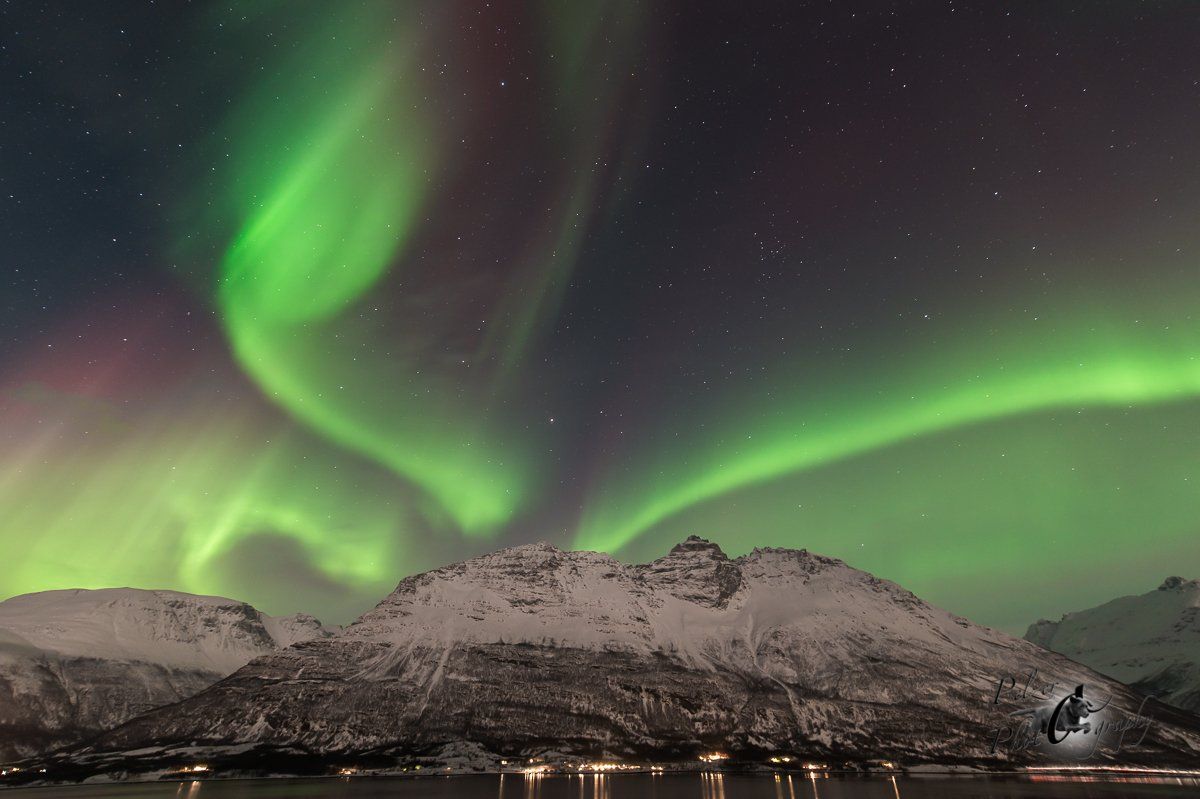 Nordlichter