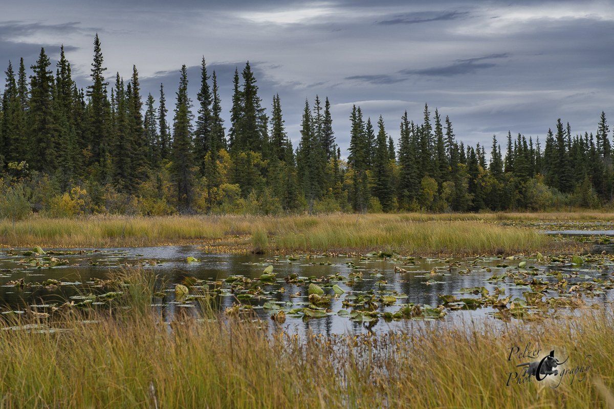 Richardson Highway