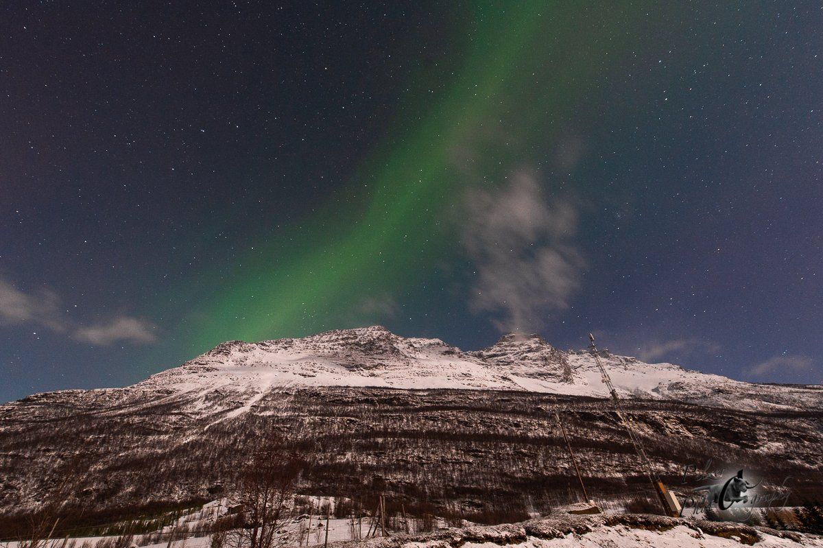 Nordlichter