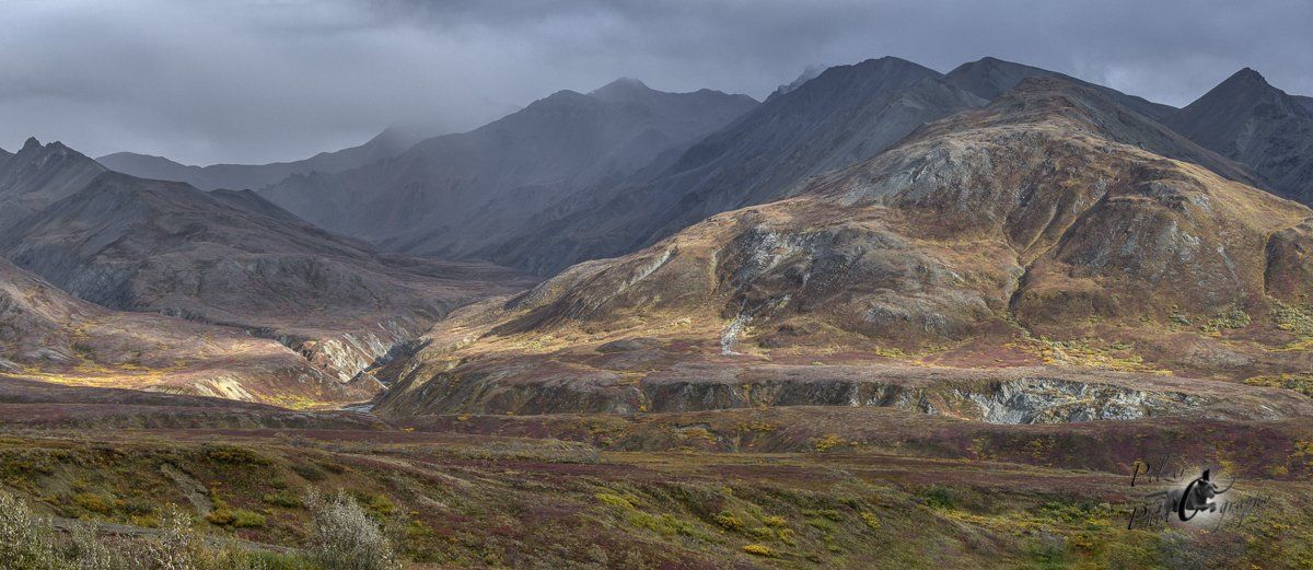 Denali Nationalpark
