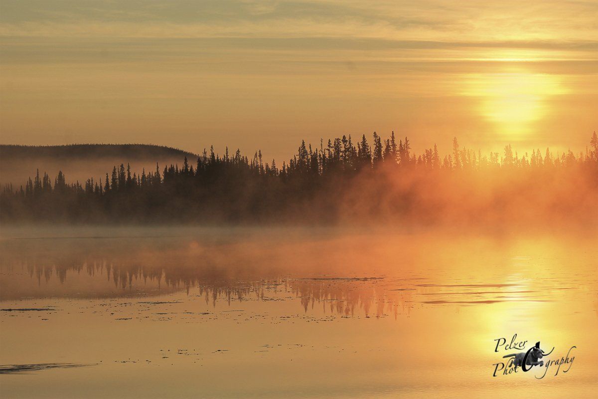 Denali Nationalpark