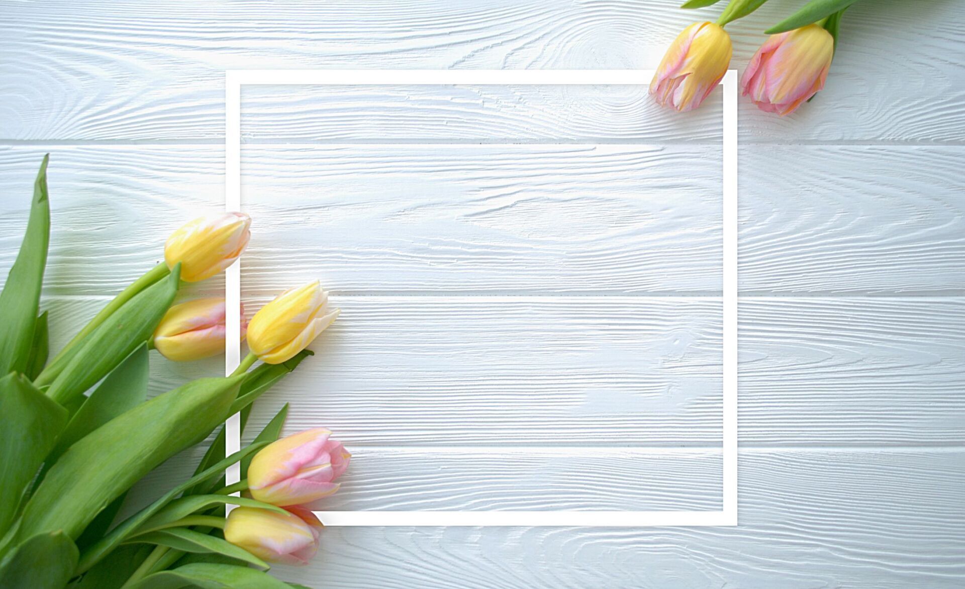 Vendita di fiori