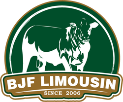 BJF limousin logo