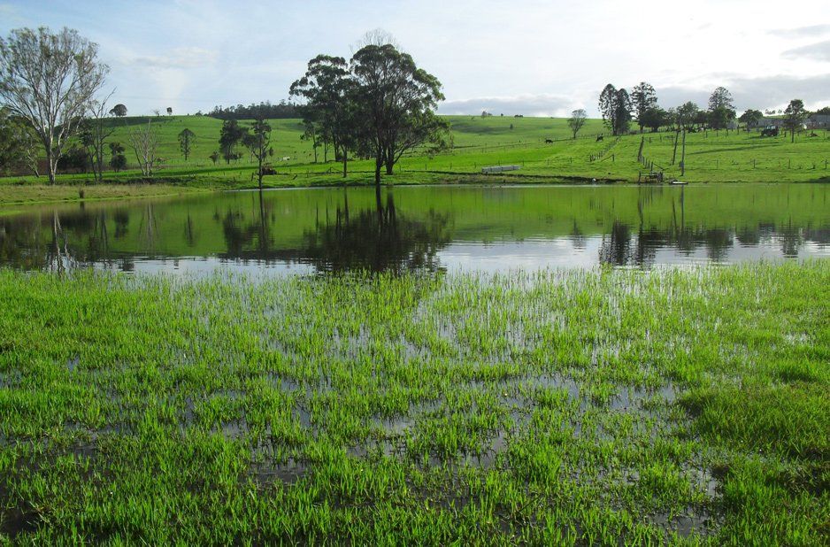 dam photo