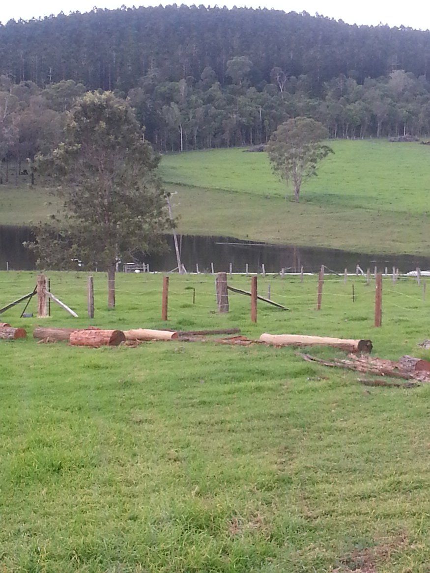 trees