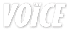 The voice logo