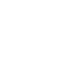 telephone icon