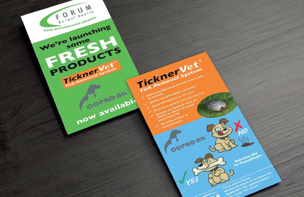 Flyer design for animal healthcare