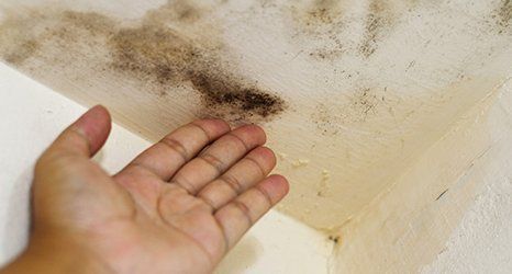 Plastering services