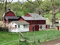House - Real Estate Consulting in Gold Hill, OR House - Real Estate Consulting in Gold Hill, OR