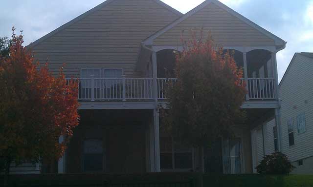 Driveway — Trees in Front of House in Woodbridge, VA