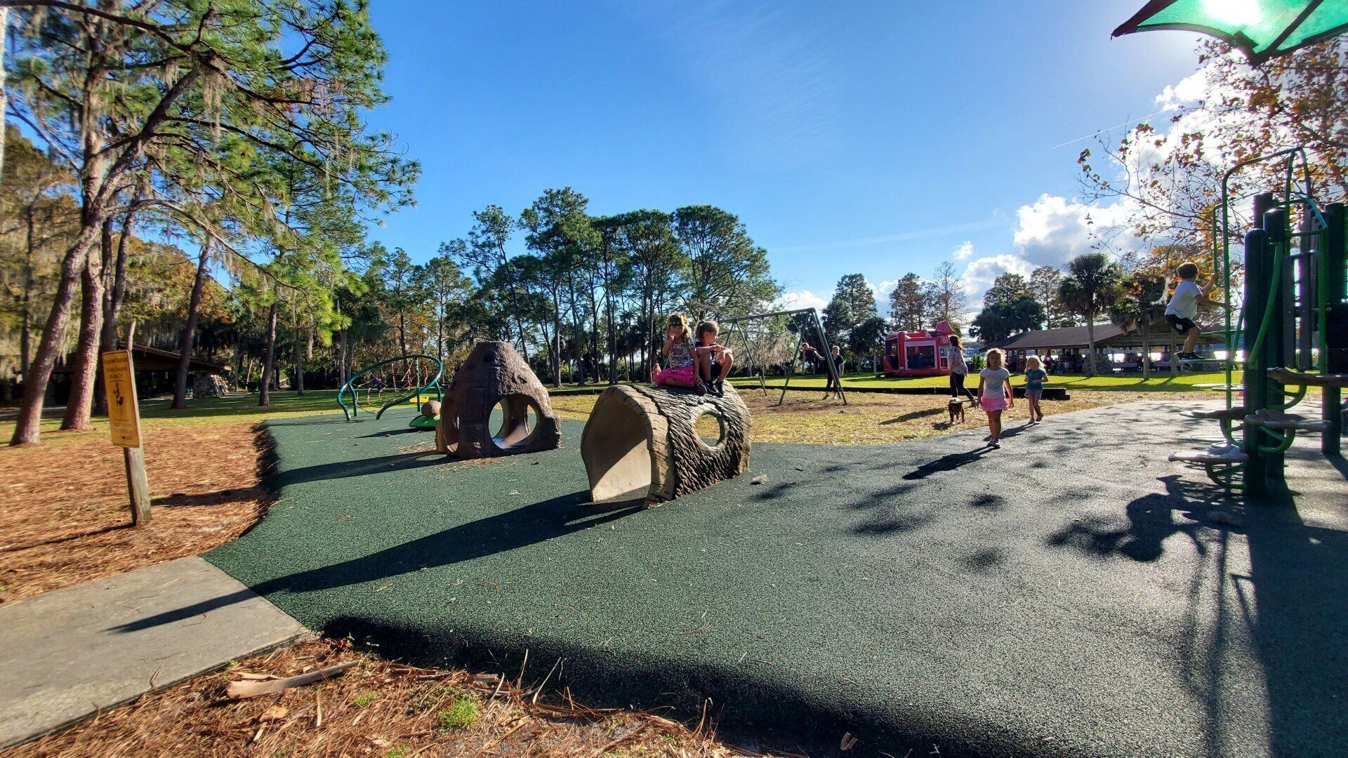 A group of children are playing in a park on a sunny day.