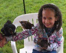 chickens on kid