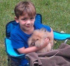petting zoo