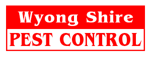 Wyong Shire Pest Control Wyong Shire Pest Control