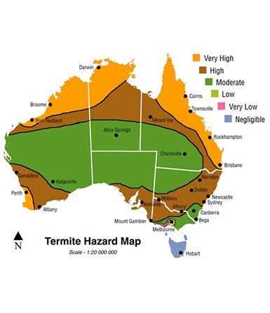 Termite hazard map — Termite in Control Central Coast, NSW Termite hazard map — Termite in Control Central Coast, NSW