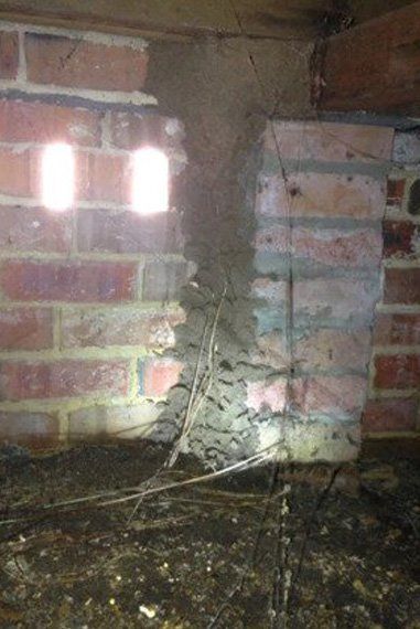 Basement infested with termites — Termites Central Coast in Wyoming, NSW Basement infested with termites — Termites Central Coast in Wyoming, NSW