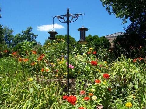 Flower Garden Full View — Dentists in Mount Airy, NC