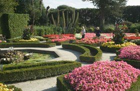 Plant nursery - Enfield, Greater London - Harry Fairhead Ltd - Shrub Plant nursery - Enfield, Greater London - Harry Fairhead Ltd - Shrub