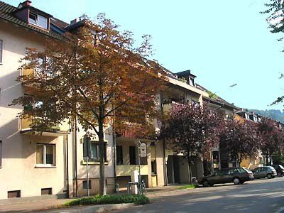 Mehrfamilienhäuser mit Balkonen und Bäumen säumen die Straße unter einem klaren Himmel.