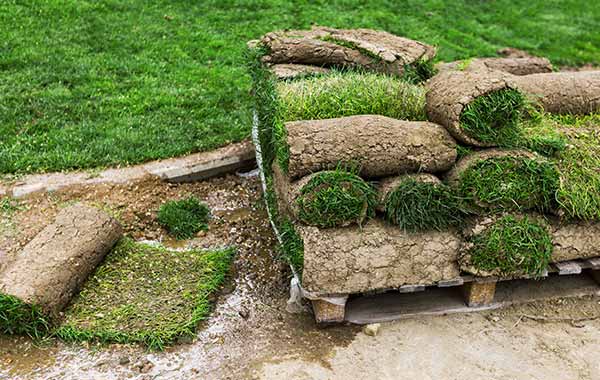 Roll of SOD — Wilmington, NC — Turf Masters Sod Farms Roll of SOD — Wilmington, NC — Turf Masters Sod Farms