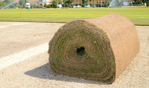 New Roll of SOD — Wilmington, NC — Turf Masters Sod Farms
