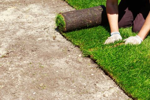 Bermuda Grass Installation — Wilmington, NC — Turf Masters Sod Farms