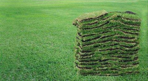 St. Augustine Grass Installation — Wilmington, NC — Turf Masters Sod Farms St. Augustine Grass Installation — Wilmington, NC — Turf Masters Sod Farms