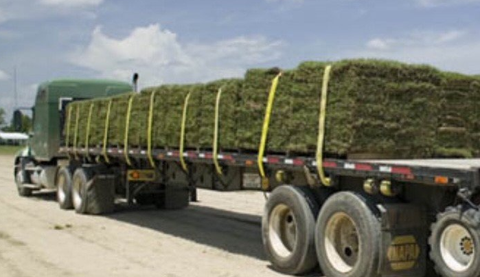 New Roll of SOD — Wilmington, NC — Turf Masters Sod Farms