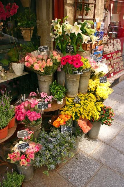 esposizione di fiori freschi