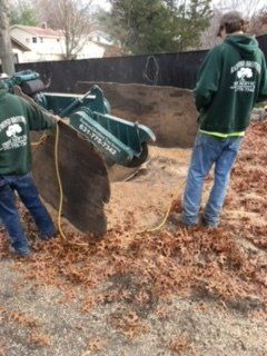 Stump Grinding