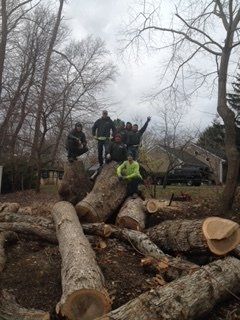 Tree Removal