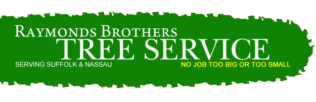 tree service