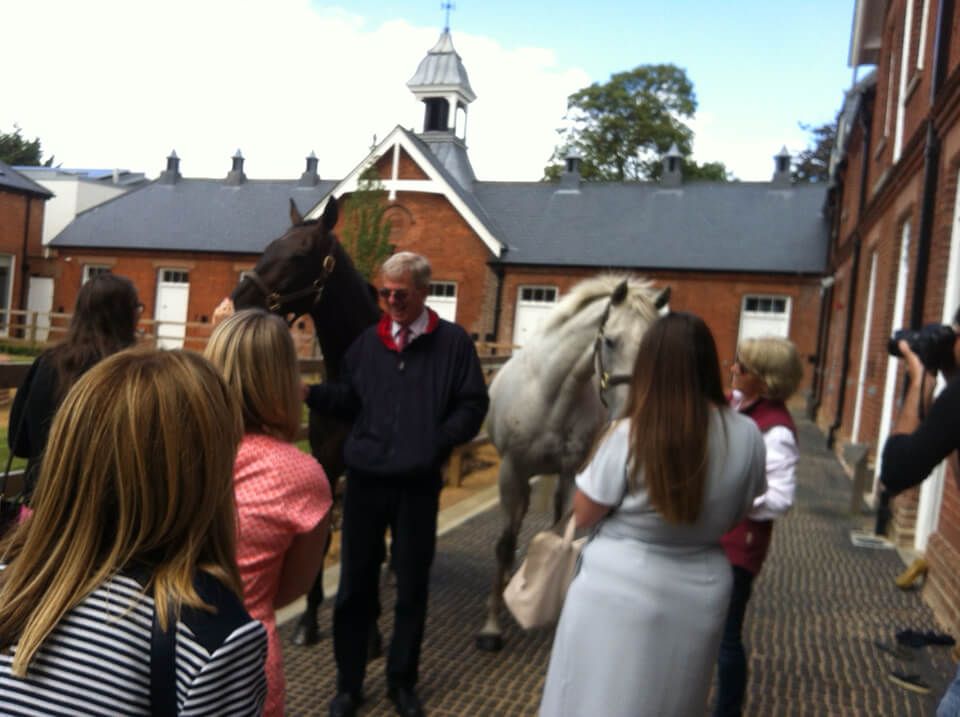 Joe and horses