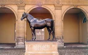 Discover Newmarket
