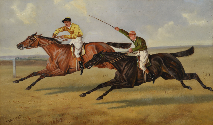 Discover Newmarket