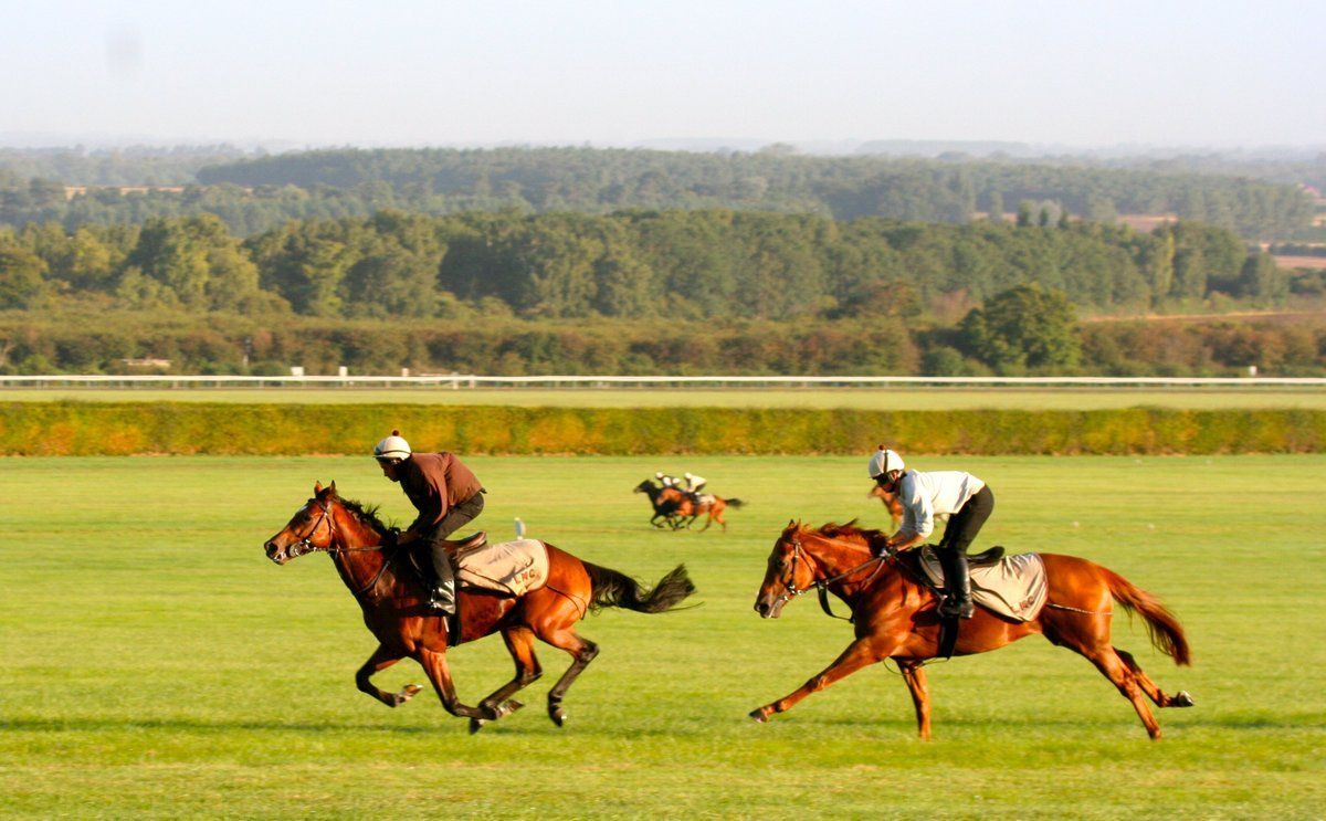 Discover Newmarket
