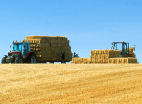 Do you need high quality hay and haylage? Call today! Tractor carrying hay bails in a field